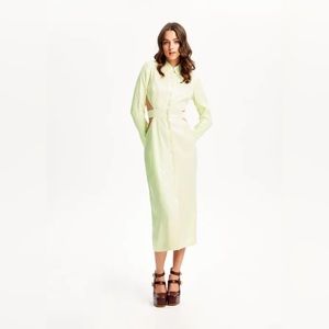 Trench Dress in Lime Cream Size 6